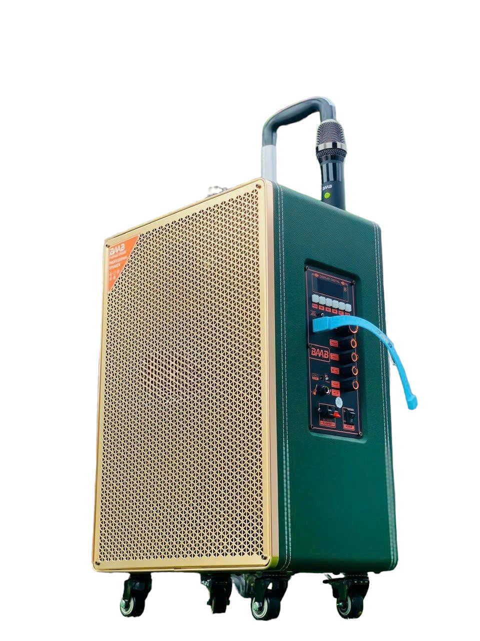 Haut-Parleur de Karaoké Professionnel Portable LIGE LIGE-126