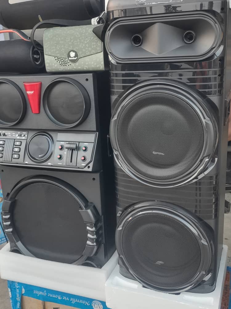 Haut‑parleur Bluetooth rechargeable Sankey – Modèle 2 × 12″